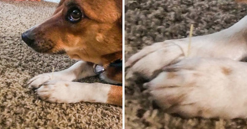 2. Uzeo je komadić sirove špagete i gricka ga