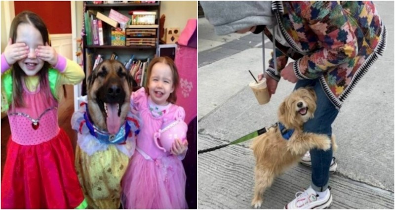 17 dirljivih fotki koje najbolje dočaravaju zašto je pas najbolji čovjekov prijatelj