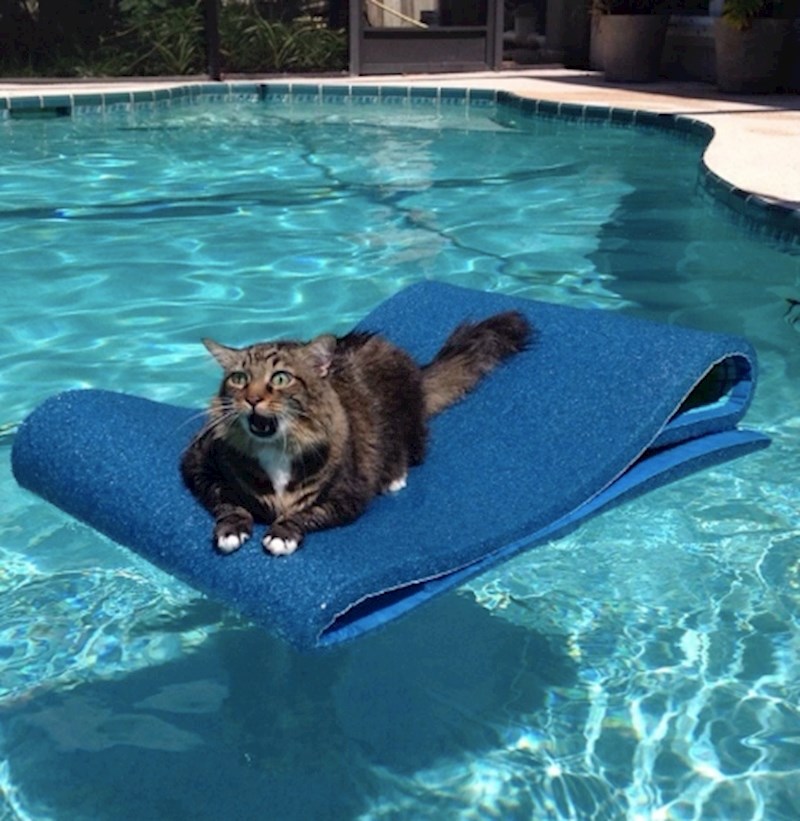 15. Veeelika pogreška