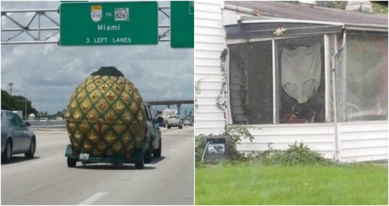 19 suludih prizora koje ne možete vidjeti nigdje na svijetu osim u Americi