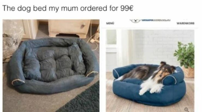 12. Moja mama naručila je krevetić za psa za 99 eura. Evo što joj je stiglo.