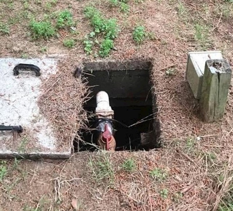 8. Cijevi koje izgledaju kao Rafiki, majmun iz Kralja lavova