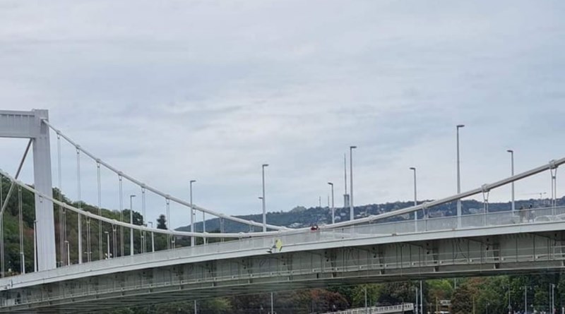 Začuđeni prolaznik u Budimpešti je uočio nesvakidašnji prizor, morate vidjeti što je snimio u Dunavu