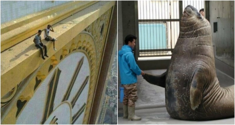 20 fotografija gigantskih bića i stvari koje će vam oduzeti dah