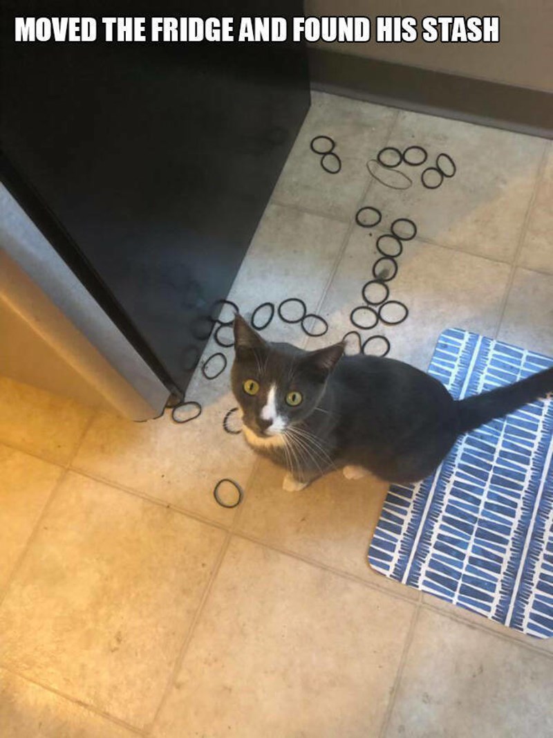 6. Pomaknuo sam frižider i pronašao njegovu zalihu gumica