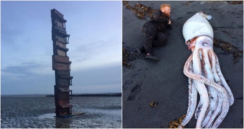 17 totalno čudnih stvari koje su ljudi pronašli na plažama diljem svijeta