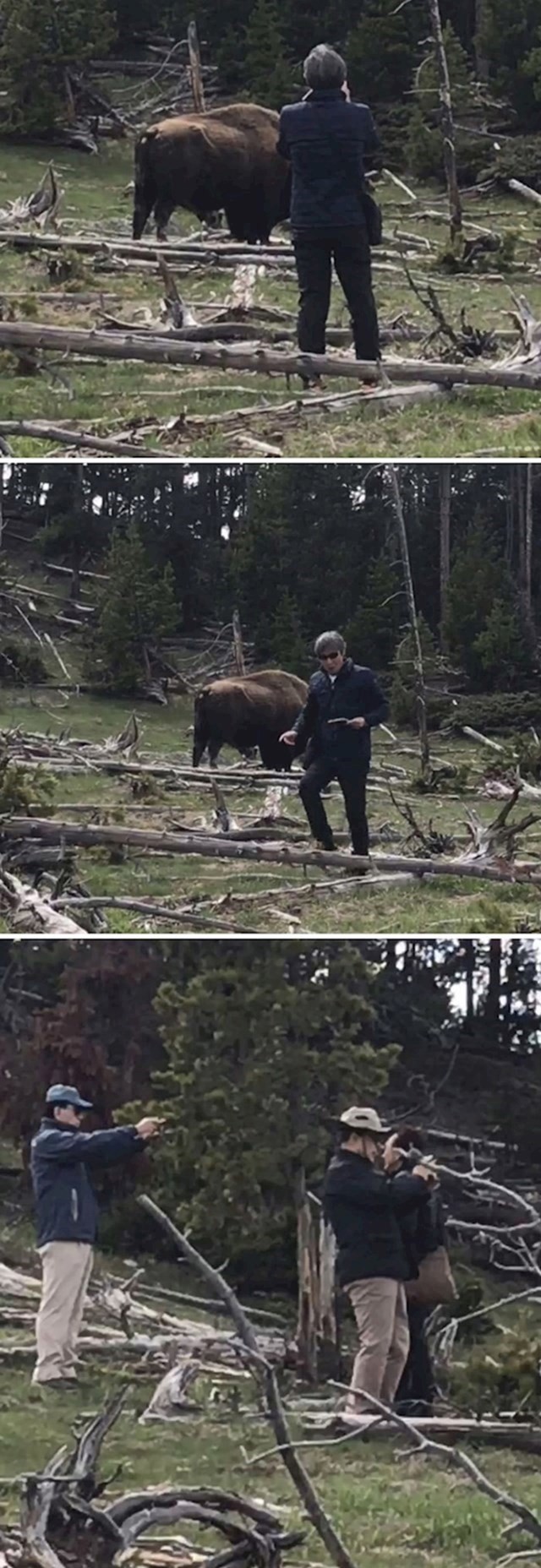 Turisti rade neopisivo glupe stvari u Nacionalnom parku Yellowstone