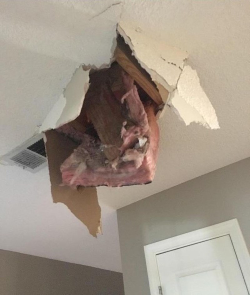 11. Iznenađenje s potkrovlja