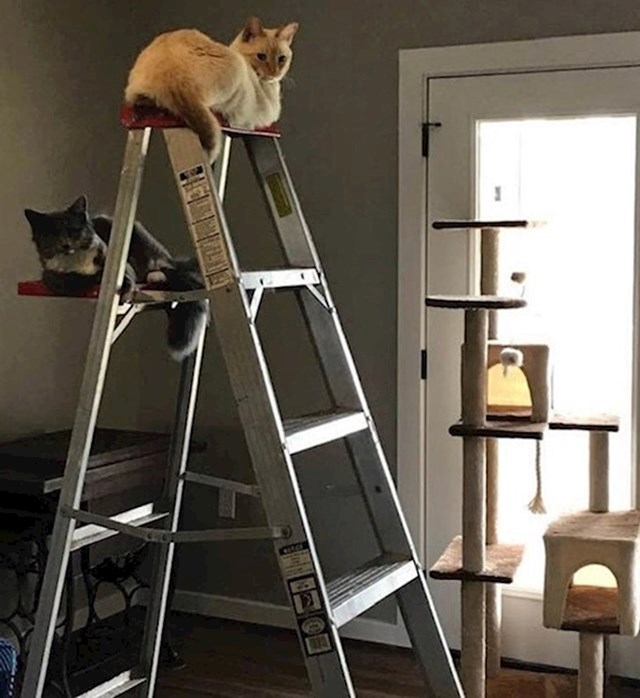 16.