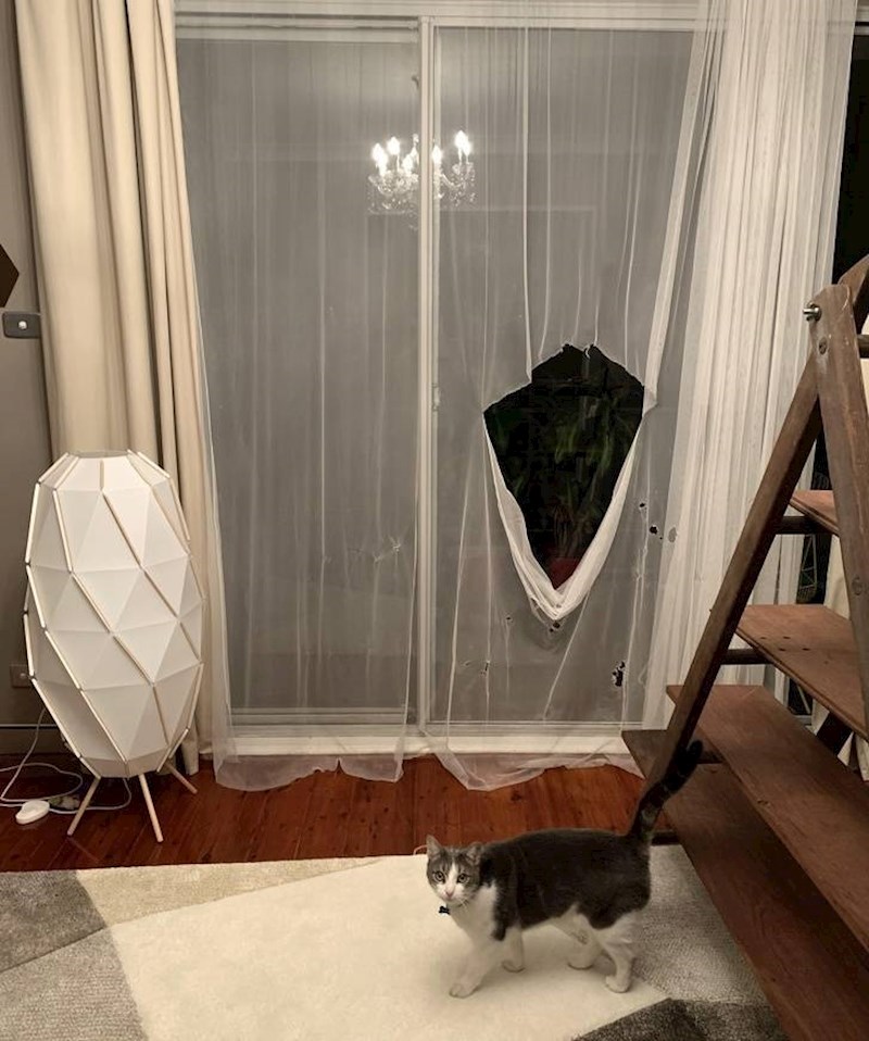 10. Ovo su bile nove zavjese. Nisu joj se svidjele.