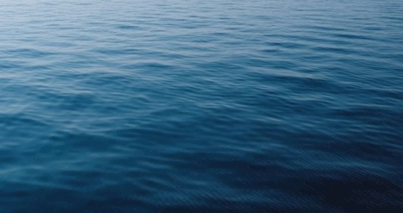 Djevojci je upao mobitel u ocean, ostat ćete potpuno zapanjeni kad vidite tko joj ga je vratio