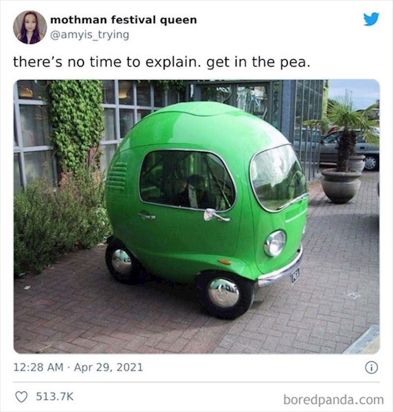 #19 Uđi u grašak i ne pitaj previše 😁