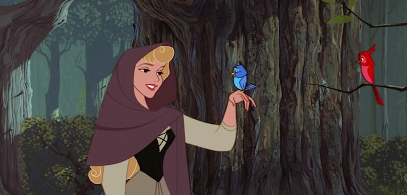 “Ako nešto sanjaš više puta, sigurno će se ostvariti.” — Aurora