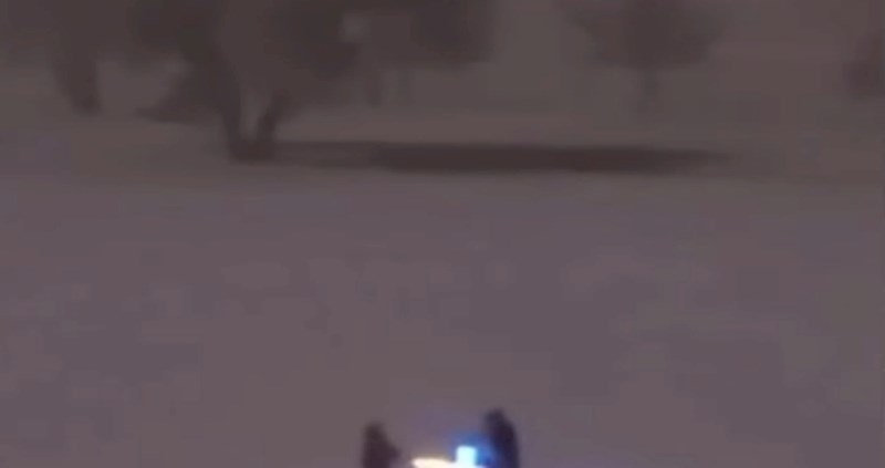 Žena je pokazala čime se njezin muž i njegov brat satima zabavljaju, snimka je postala viralni hit