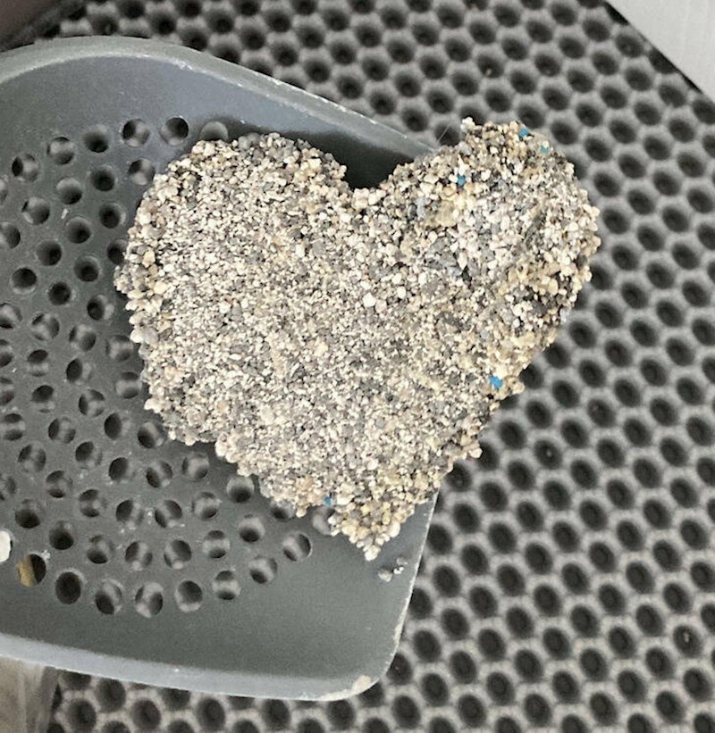 14. Pronašla sam kakicu svoje mačke u obliku srca. Malo zakašnjelo, ali smatrat ću to njezinim poklonom za Valentinovo.