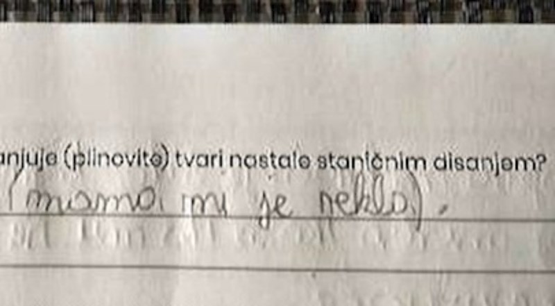 Brutalno iskren učenik iznenadio je učiteljicu svojim odgovorom u testu, fotka je urnebesna