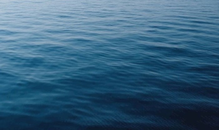Djevojci je upao mobitel u ocean, ostat ćete potpuno zapanjeni kad vidite tko joj ga je vratio