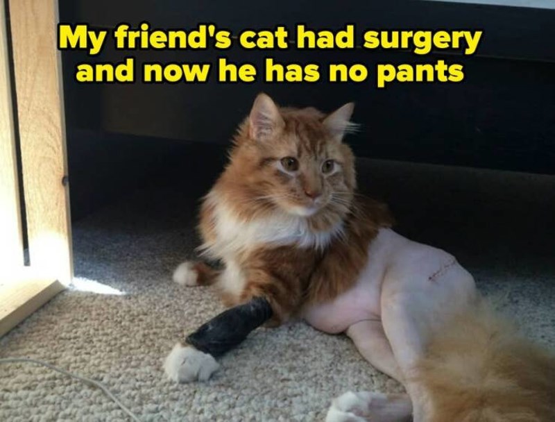 13. Bila je na operaciji