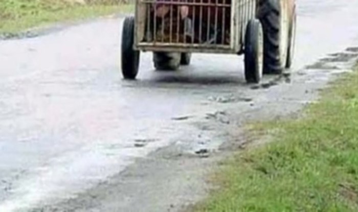 Fotka iz Srbije obišla je cijelu regiju brzinom munje, prizor je istovremeno bizaran i urnebesan