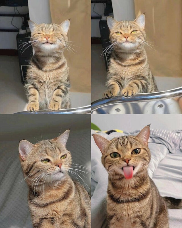 1.