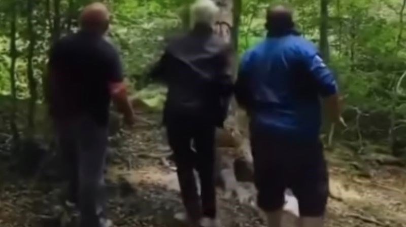 Tipovi su htjeli srušiti stablo, urnebesna snimka hit je zbog onoga što se dogodilo jednom od njih