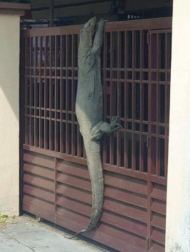 16.