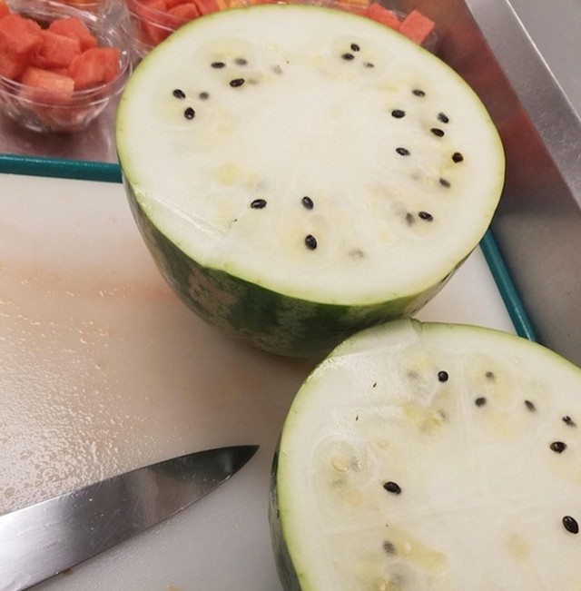 "Danas sam kupio najgoru lubenicu ikad."