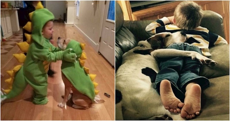 17 simpatičnih fotki koje dokazuju da postoji posebna veza između djece i kućnih ljubimaca