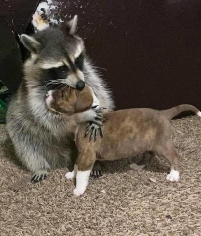 1.