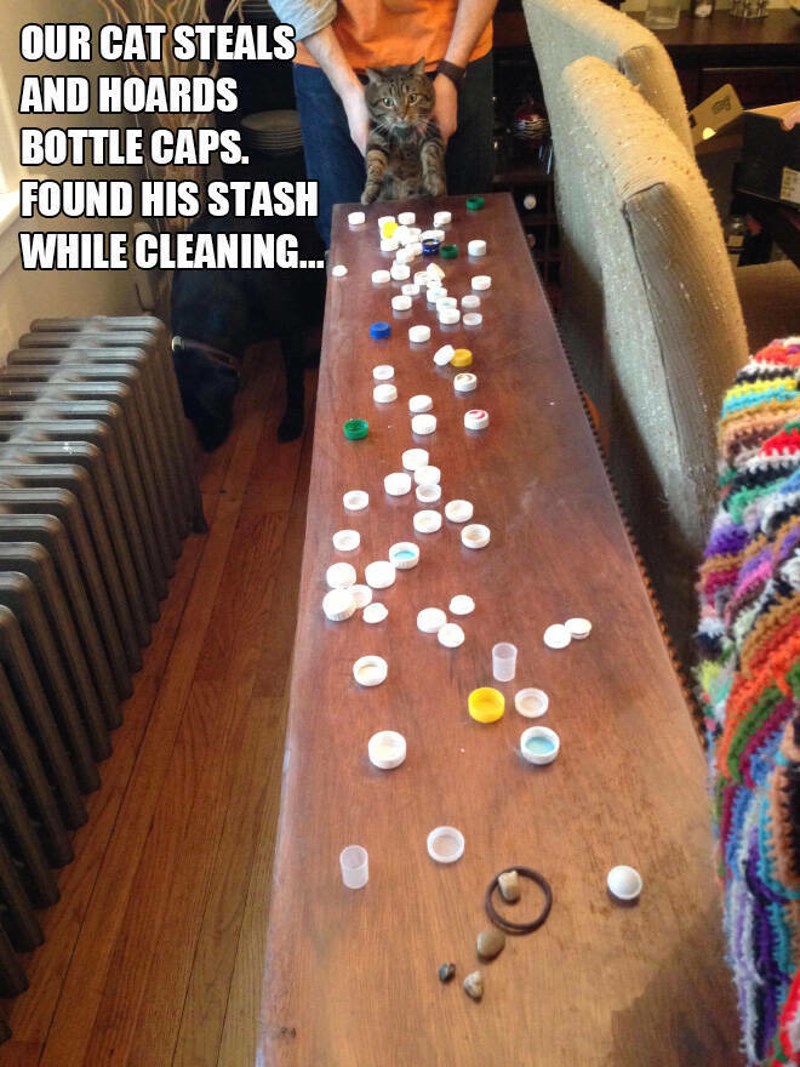 1. Naša maca krade i gomila čepove od boca. Pronašli smo njezinu zalihu dok smo čistili.