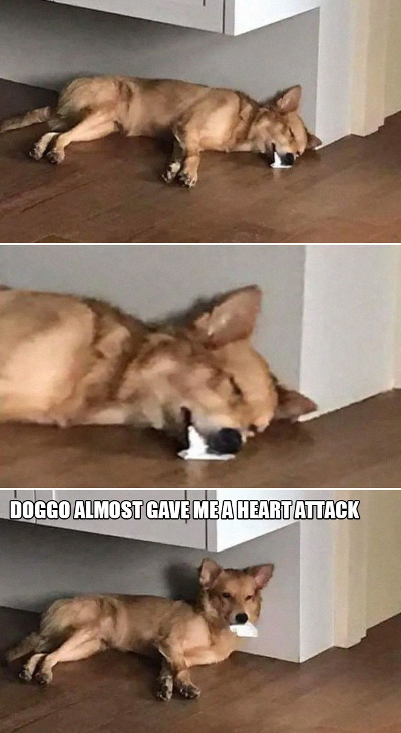 3. Umalo me strefio srčani zbog njega