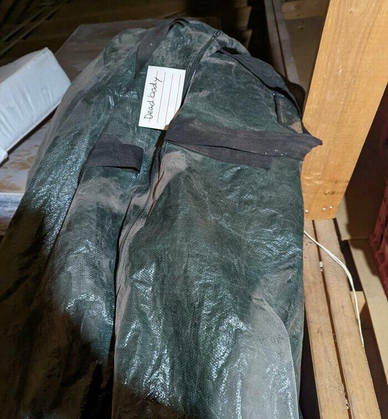 1. Uselili smo se u novu kuću i primijetili da su prošli vlasnici na tavanu ostavili vreću na kojoj piše "mrtvo tijelo" 😳