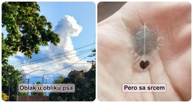 17 ljudi koji su imali sreće i uspjeli pronaći iglu u plastu sijena