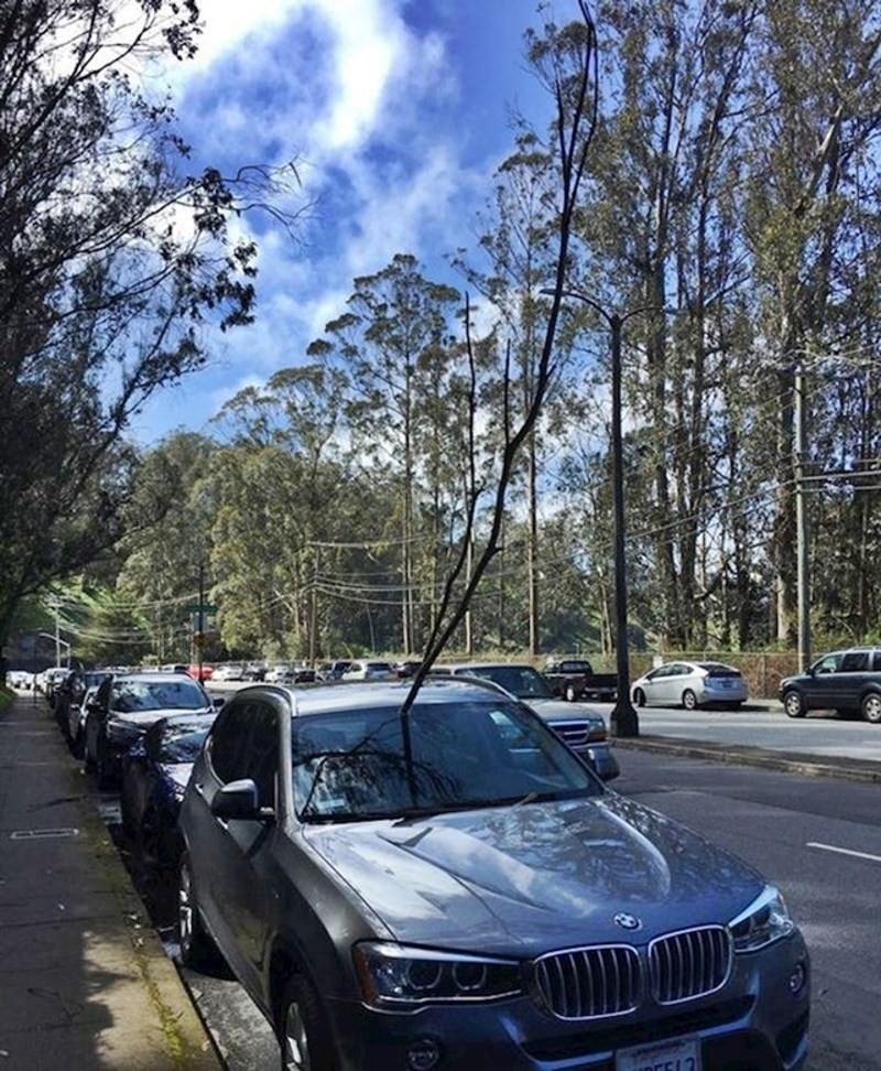 5. Ovo mu definitivno nije bio sretan dan