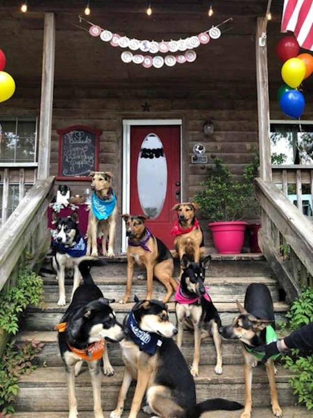 9. "Moja je kuja prošle godine okotila ove psiće. Sad su nam došli u posjet, na proslavu svog 1. rođendana!"