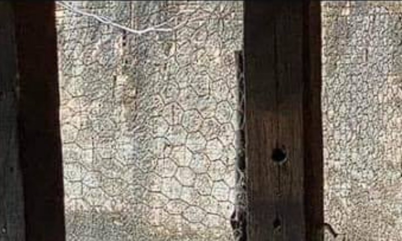 Bizarni detalji u nečijem kokošinjcu izazvali su salve smijeha na cijelom Balkanu, prizor je hit