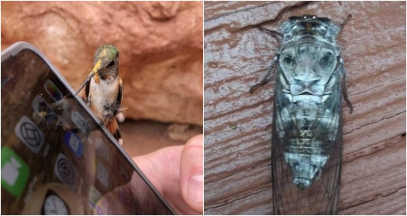 19 ljudi ugledalo je nesvakidašnje predmete i situacije, fotke su odmah postale viralni hit