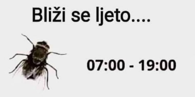 Ovih dana svi dijele foru o vjesnicima ljeta koji nas sve živciraju, urnebesna je i skroz istinita