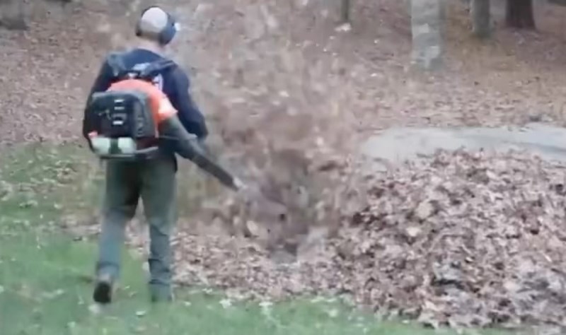 Tip je čistio lišće puhačem pa ga je smrtno prepalo ono što se skrivalo u hrpi. Video je urnebesan!