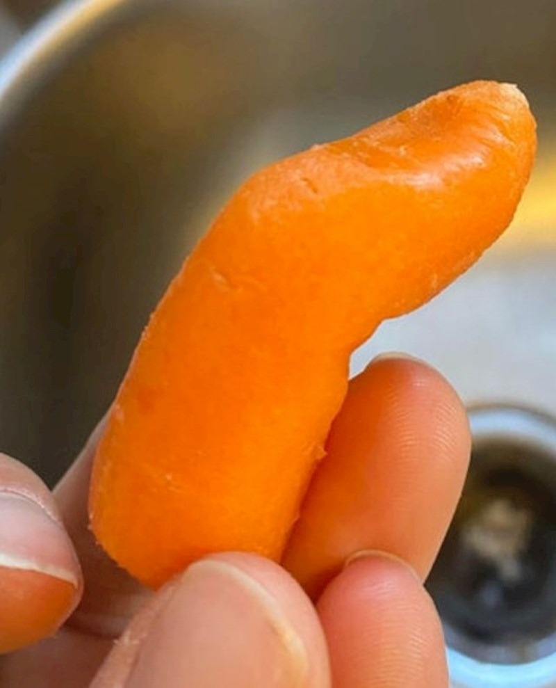 11. Mrkva koja izgleda kao prst