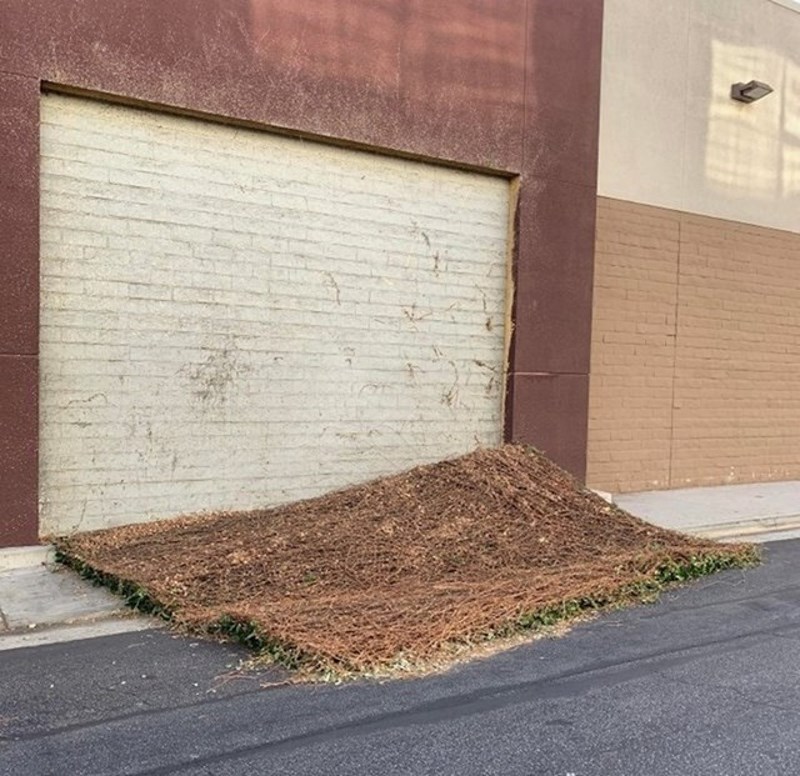 "Ovaj zid je bio prekriven prekrasnim bršljanom, a onda se sve pred mojim očima srušilo."