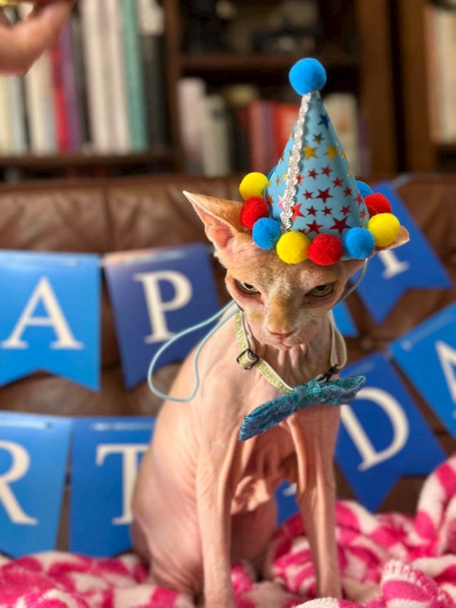 15. Naša maca slavi 19. ročkas!🥳