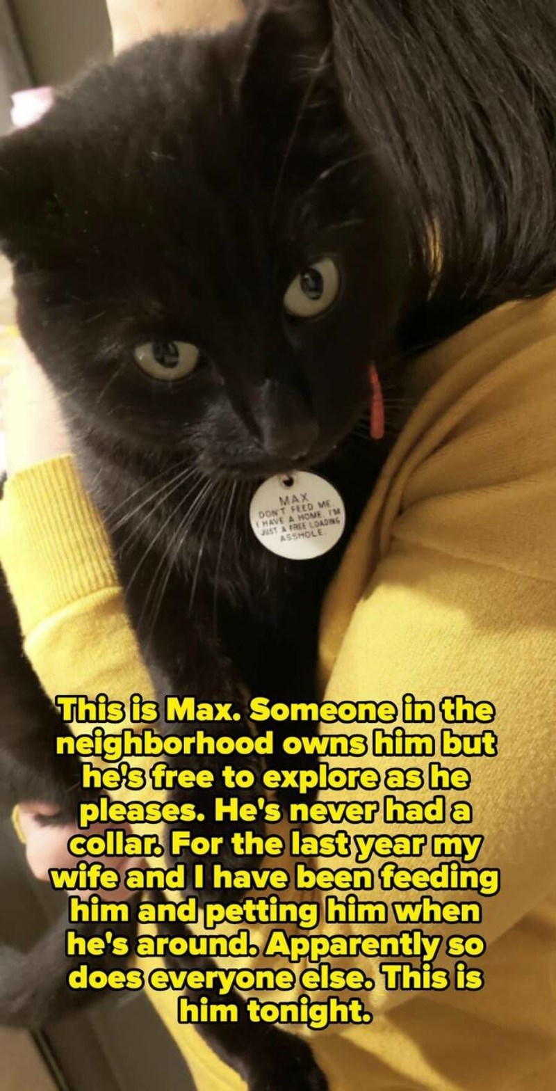 10. Ovo je Max, kvartovski mačak koji se godinama hranio kod svakoga po malo. Ispada da ipak ima svoj dom...