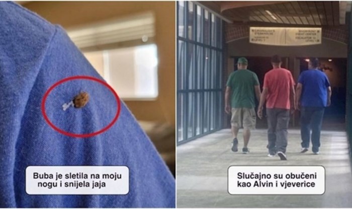 19 jako zanimljivih prizora koje su ljudi uočili i odmah ih morali podijeliti na mrežama