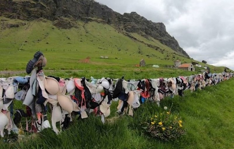 10. Na Islandu postoji ograda od grudnjaka