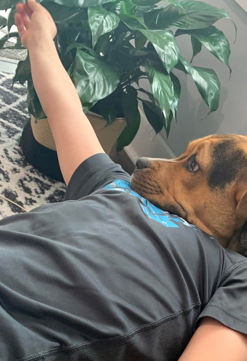 3. Pas s ljudskim tijelom