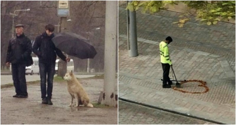 20+ dirljivih fotki koje će vam vratiti vjeru u čovječanstvo