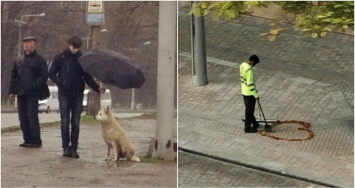 20+ dirljivih fotki koje će vam vratiti vjeru u čovječanstvo