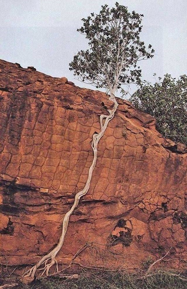 5.