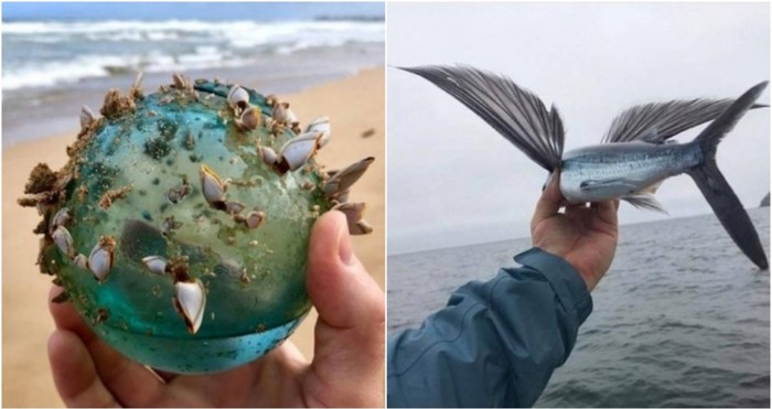 15 ljudi podijelili su fotografije najposebnijih stvari koje su držali u svojim rukama